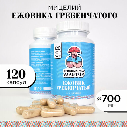 ���� ������ (������) ����������� ������� �������/120 ������/������� ��� ������, ������ �� 840 ���