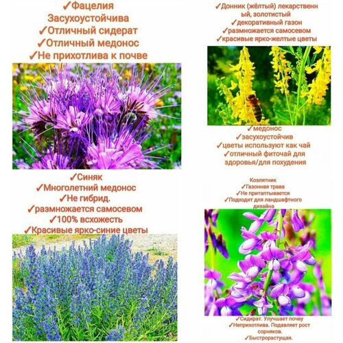 ���� ����� ���������� ����/���������,800��(������+�������+�����+���������), ������ �� 1799 ���