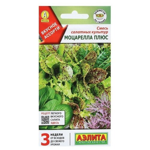 ���� ������ ����� ����� ��������� ���� 0,5� (������), ������ �� 32 ���