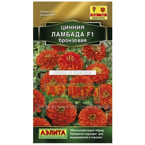 ���� ������. ������ 