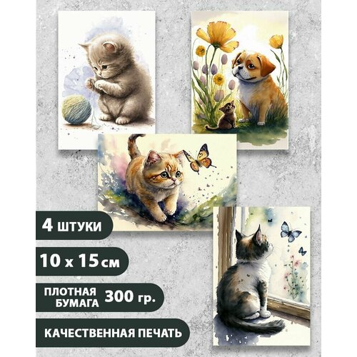 ���� ����� ����������� �������� 