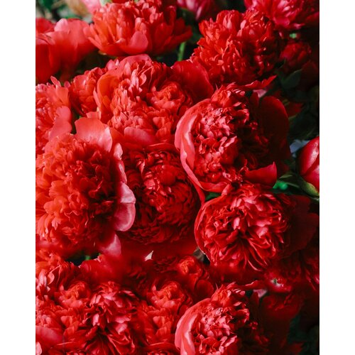 ���� ���� ��� / ������ �����, ������ �� 799 ���