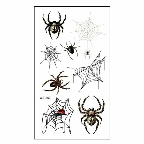 ���� ���������� ���� ��������� ����� ��������, ������ �� 245 ���