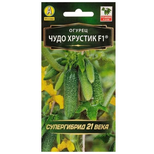 ���� ������ ������ 