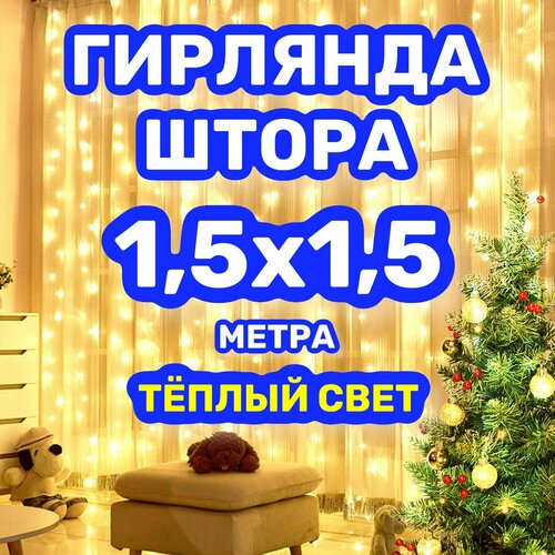 ���� �������� ����� 