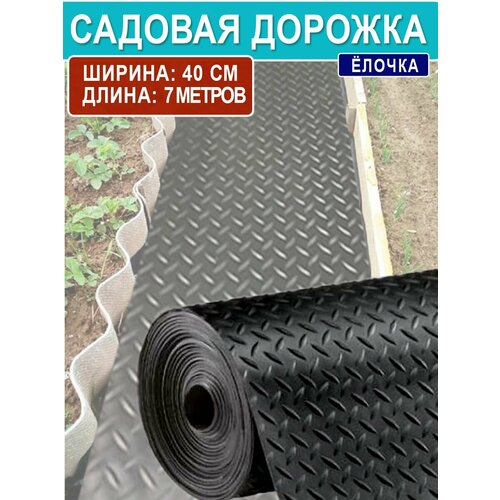 ���� ������� ������� 