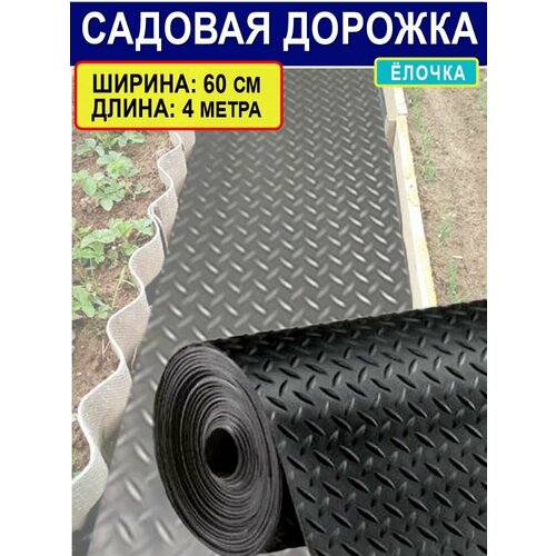 ���� ������� ������� 