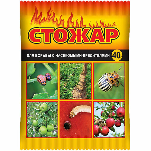 ���� ������ �������� ��� ������ � ����������-����������� � ���� � �������, 40 �, ������ �� 284 ���