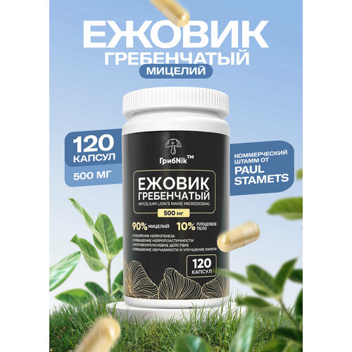 ���� ������(������) ����������� ������� ����Nik - 500 �� � 120 ������, ������ �� 782 ���