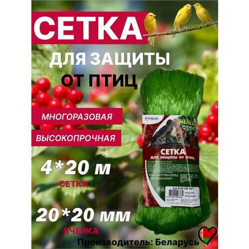 ���� ����� �� ���� ��� �������� �������� ������ �������� ������� 4�20, ������ �� 1150 ���