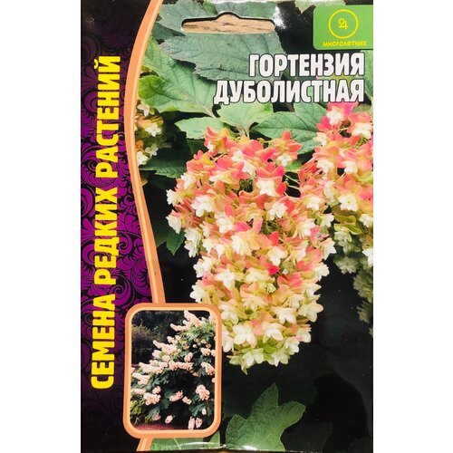 ���� ������ ��������� ����������� (20 �����), ������ �� 270 ���