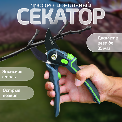 ���� �������� ������� ���������������� ������� ��� �������� � ������, ������ �� 1124 ���