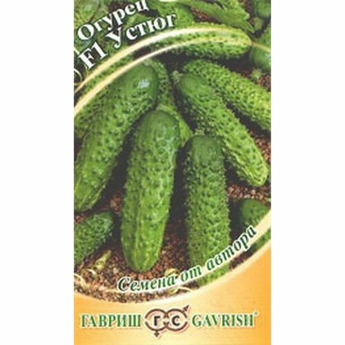 ���� ������ ������ ����� F1 (������������������) (������) 10��, ������ �� 64 ���