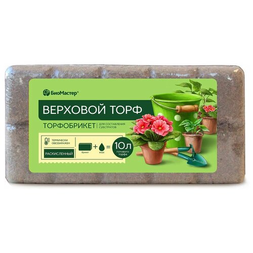 ���� ���� ��������� �������� ������������ ��������, 10 �, 0.7 ��, ������ �� 381 ���