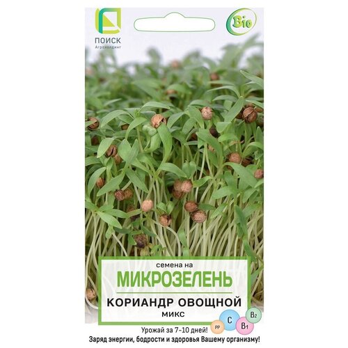 ���� ������ ����� ����������� �������� ������� ����, 5�, ������ �� 50 ���