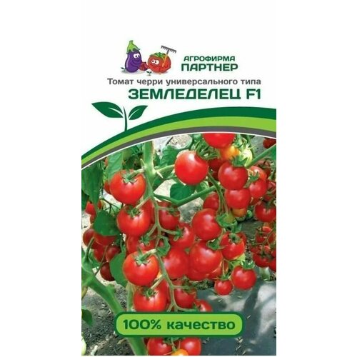 ���� ����� ����� ���������� F1 ������ ������� (1 ��������-0,05 � �����), ������ �� 385 ���