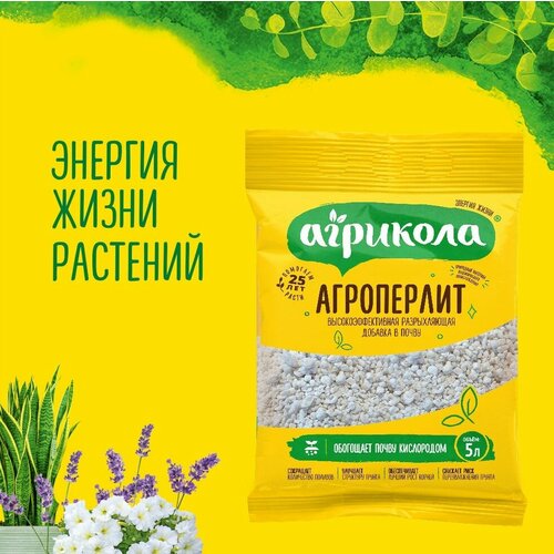 ���� ���������� ��������, ����������� ������� �������������� �������������, 5 �, ������ �� 249 ���