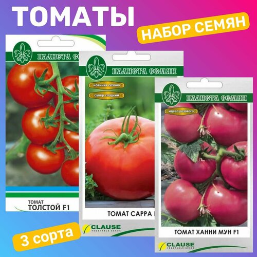 ���� ����� ����� ������� / �������, �����, ����� ���, ������ �� 450 ���