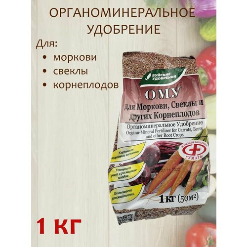 ���� ����������������� ��������� (���) 