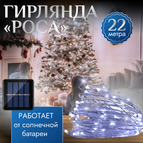 ���� �������� ���� 22 �. ������� �� ��������� ������� �������� �����, ������ �� 700 ���