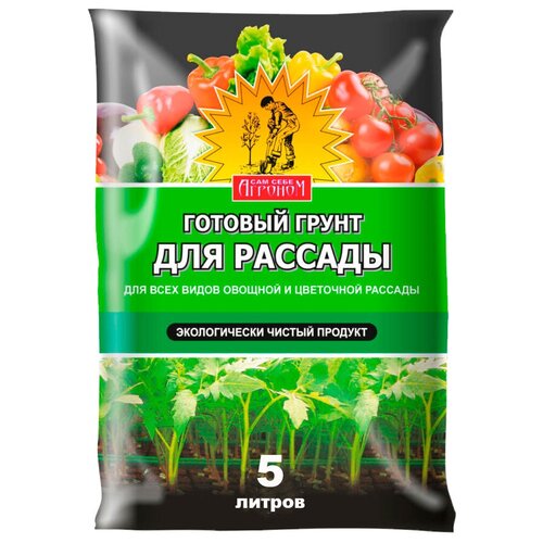 ���� ����� ��� ���� ������� ��� ������� ������������, 5 �, 1.6 ��, ������ �� 246 ���