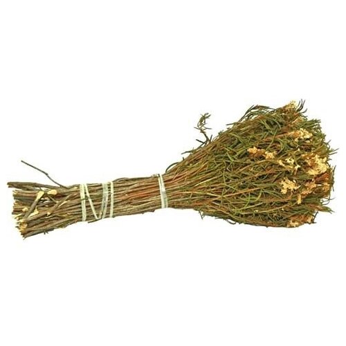 ���� ����� �� ����������, ������ �� 471 ���