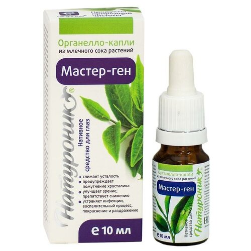 ���� ����� ��������� 