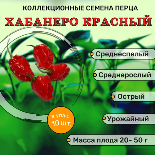 ���� ������������� ������ ����� ������� �������� �������, ������ �� 122 ���