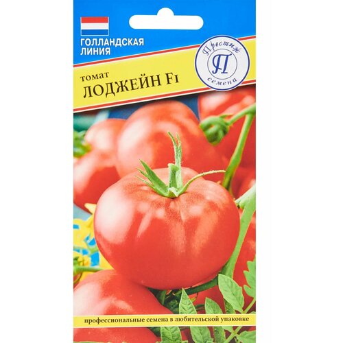 ���� ������ ����� ������� F1, 5 ��., ������ �� 178 ���