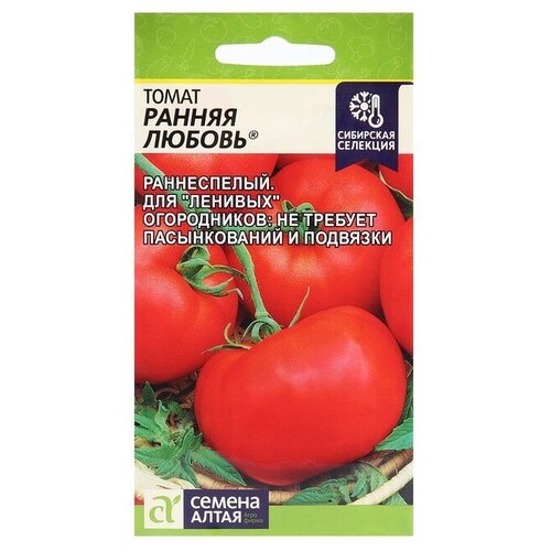 ���� ������ ����� 