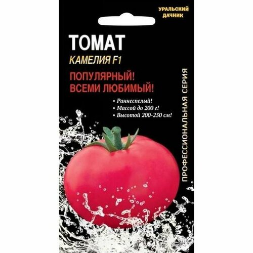 ���� ������ ����� ������� F1, ������������, �����������, ���� 12��, ������ �� 50 ���