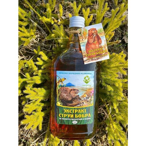 ���� �������� ����� �����, �������� 500 ��., ������ �� 2300 ���