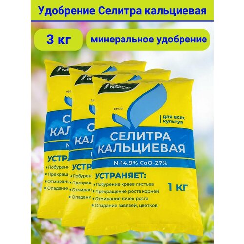 ���� ��������� ������� ���������� 1 �� 3��, ������ �� 620 ���