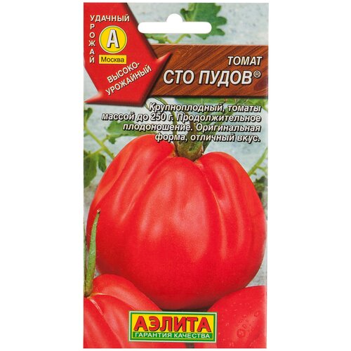 ���� ������ ����� ���� �����, ������ �� 337 ���