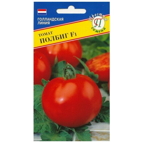 ���� ������ ������ 