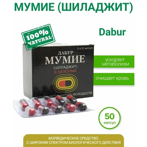 ���� ����� �������� � ��������, 50 ��, ������ �� 430 ���