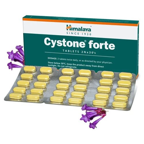 ���� ������ ����� ������� (Cystone Forte) ��� ������� ����������� �������, ������� ����� �� �����, 60 ���., ������ �� 858 ���