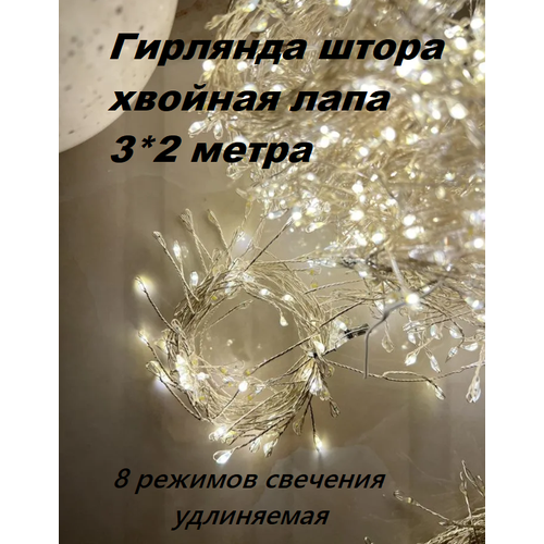 ���� �������� ����� 