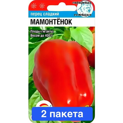 ���� ������ ������ ��������� ��� 