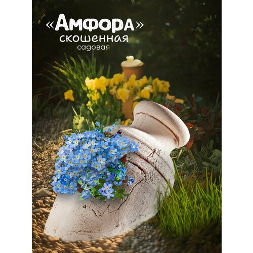 ���� ������ ���������, ������ �� 3600 ���