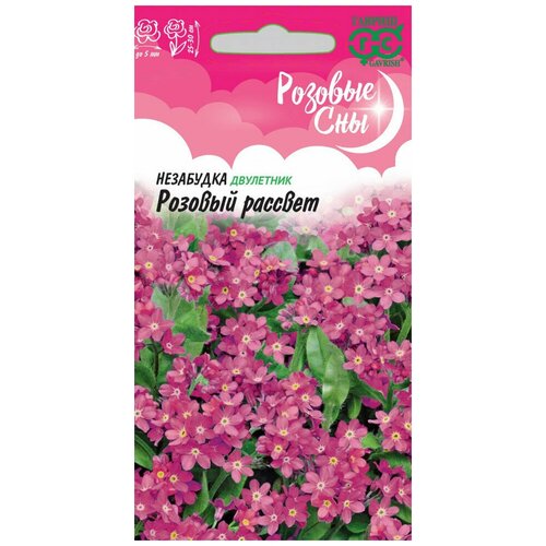 ���� ��������� ������� �������, ������ �� 42 ���