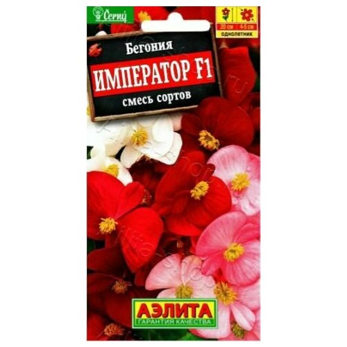 ���� ������� ������������� ��������� ( 3 �������� ) , ����� �������, ������ �� 528 ���