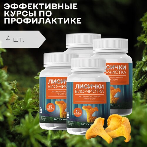 ���� �������� �� ��������� ������� ���-������� ���������, 4 ��, 240 ������, ������ �� 1570 ���