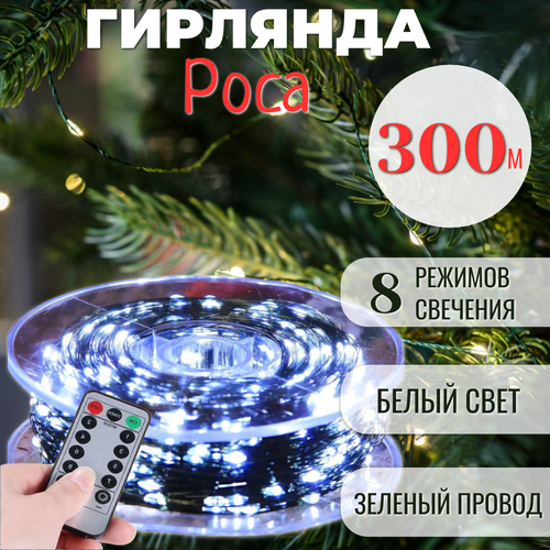 ���� �������� ���� � ������� � ������� ���������� 300 �, ������� ������, ����� ����, ������ �� 3799 ���