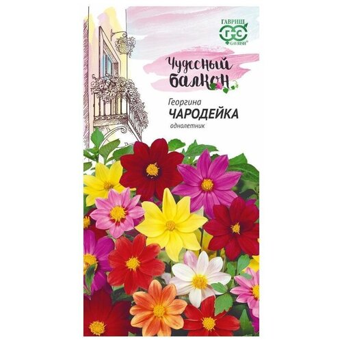 ���� ������. �������� 