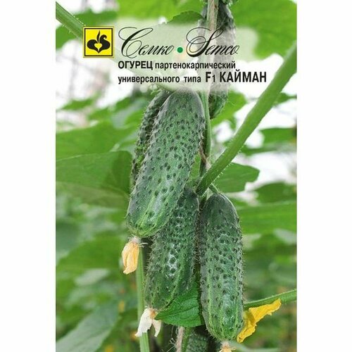 ���� ������ ������ ������ F1 ����. (�����) 10��, ������ �� 112 ���