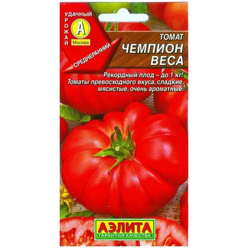 ���� ������. ����� 