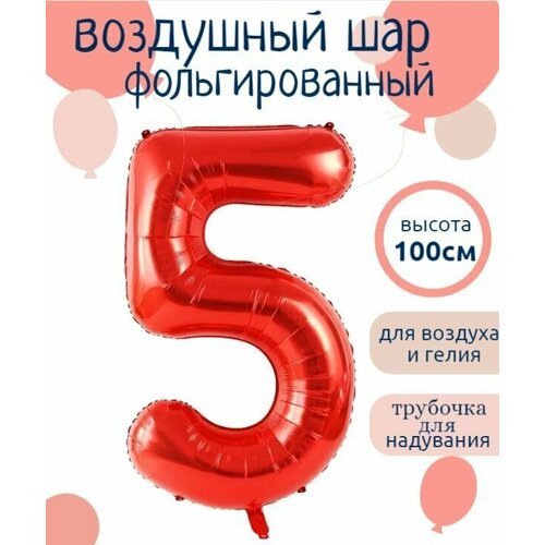 ���� ����� 5 �������������� ����� ������� 102��, ������ �� 195 ���