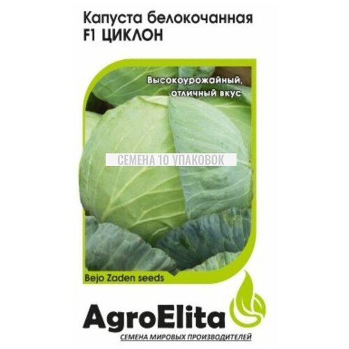 ���� ������. ������� ������������ 