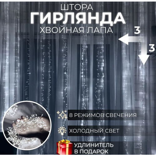 ���� �������� ����� 